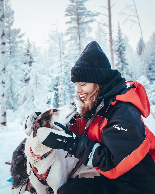 Arctic Paws family husky ride