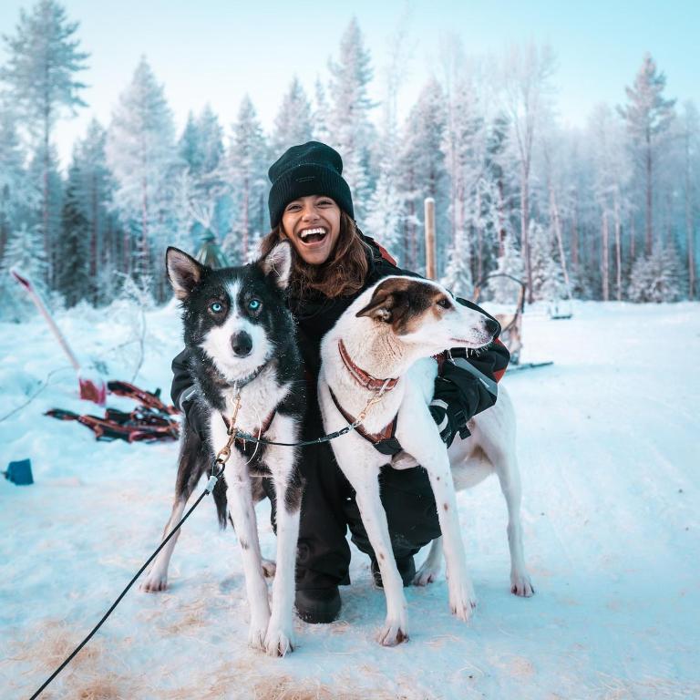 Nulkki husky adventure (5 km self-drive)