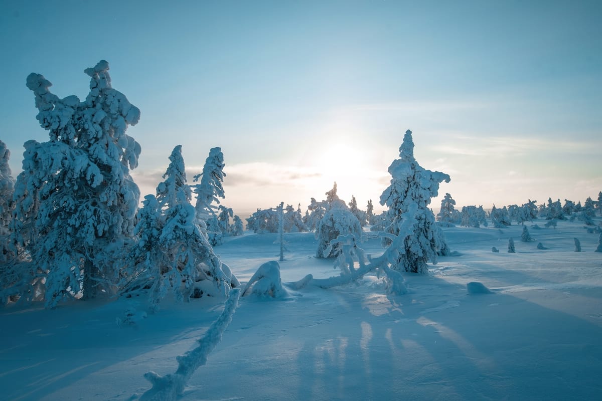 Winter Wonderland, Riisitunturi — art print by Joona Heinonen